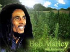 Paroles No Woman No Cry - Bob Marley