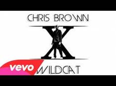 Paroles Wildcat - Chris Brown