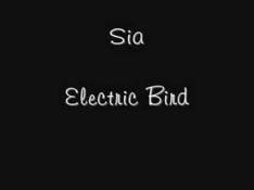 Paroles Electric Bird - Sia