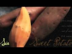 Paroles Sweet Potato - Sia
