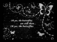 Paroles Butterflies - Sia